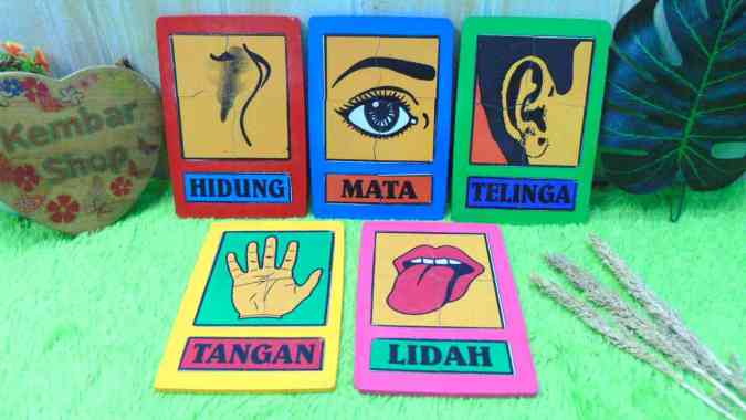 PUZZ-INDRA PAKET HEMAT ISI 5 Alat Permainan Edukatif Mainan Puzzle panca indra APE TK PAUD