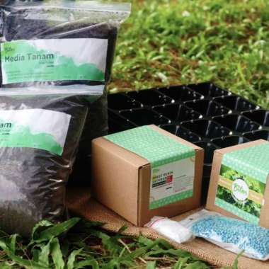 Jual Bibit Sayuran Buncis Terlengkap - Harga Murah Agustus 2022 | Blib li