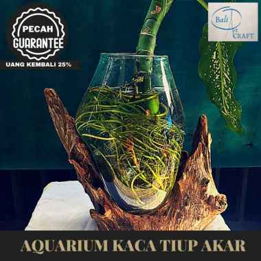 aquarium ikan cupang - harga termurah februari 2021 | blibli