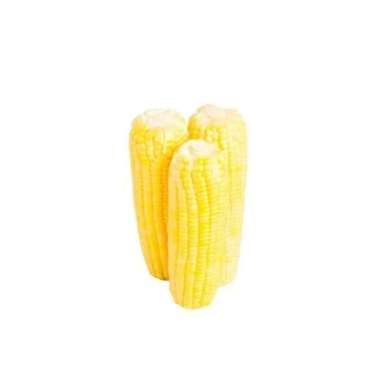 JAGUNG MANIS KUPAS 950 - 1000 G
