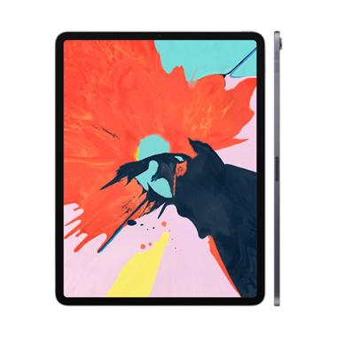 Jual Apple iPad Pro 2020 12.9inch 256GB Wifi Cell - Space