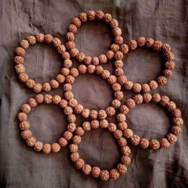 Gelang Jenitri Rudraksha Baru