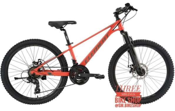 Jual Sepeda Element Alumix 24 Inch Original Terbaru - Harga Promo Murah