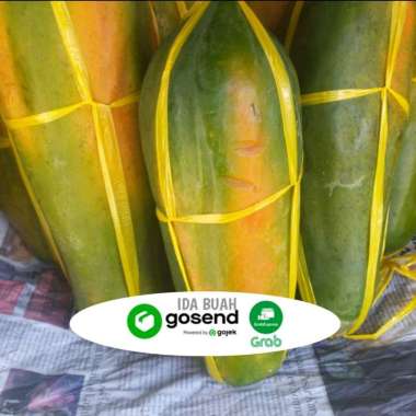 Jual Buah Pepaya Thailand Termurah - Harga Grosir Terupdate Hari Ini
