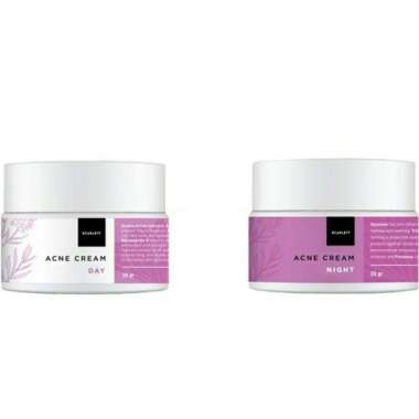 Paket Acne Cream Day & Night Scarlett 20gr AMPUH Melawan Bakteri Jerawat Wajah dalam 2 minggu
