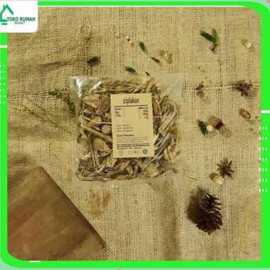 CIPLUKAN CEPLUKAN KERING 100 GRAM - Physalis Angulata - MURNI -