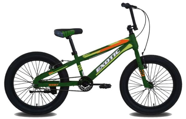  Harga Sepeda Anak Exotic 20 - Sepeda Lipat