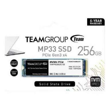 Jual Teamgroup Ssd M 2 Nvme Mp33 256 Gb Murah Juli 2022 Garansi Resmi