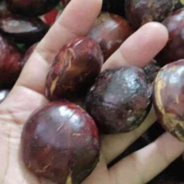 Jengkol tua fresh 500