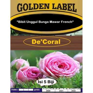 Bibit Unggul Bunga Mawar French | Benih Bunga Mawar French