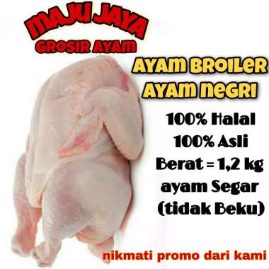 AYAM BROILER 1.2 KG / AYAM UTUH / AYAM 1 EKOR / AYAM SEGAR / FRESH
