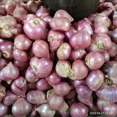 Jual Bawang Merah 1 Kg Harga Grosir Hari Ini Agustus 2022  Blibli