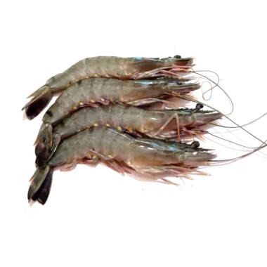 AFCBandung - Udang Tiger/ Udang Pancet/ Udang Windu [500 g]