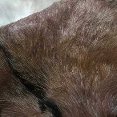 Jual Bulu Domba Terbaru - Harga Murah | Blibli.com