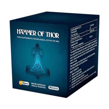 Hammer of thor forex cair