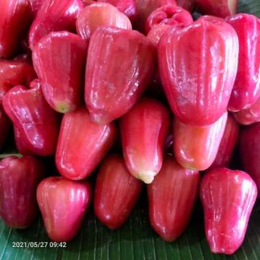 Buah Jambu Citra Merah Â½ KG