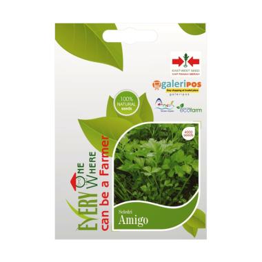 Jual Panah Merah Amigo Personal Benih Bibit Seledri Pouch [4000 biji] Online  Harga  Kualitas 