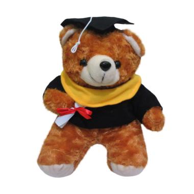 Jual Spicegift Teddy Bear Beruang Wisuda Rasfur Mawar
