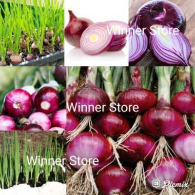Ubi Merah - Jual Produk Termurah & Terbaru April 2021