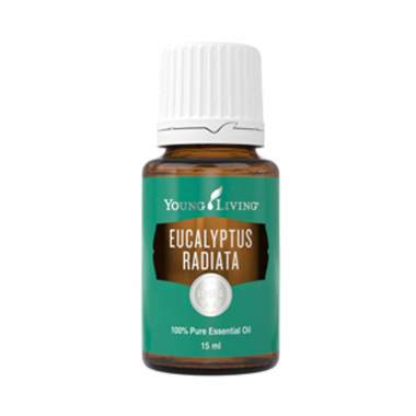 Jual Young Livings R.C Essential Oil [15 mL] Online
