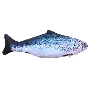 Jual Harga Ikan Arwana Online Terbaru Februari 2022 Blibli Jual Harga Ikan Arwana Online Terbaru Februari 2022 Blibli