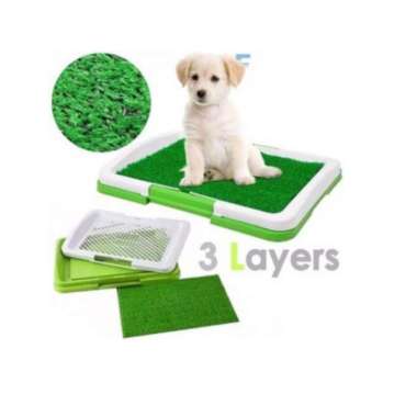 Rumput Kucing - Harga Terbaru September 2021 & Gratis