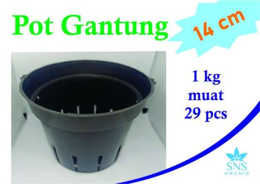 pot gantung anggrek catleya 14 cm bulat hitam plastik cattleya bunga Multicolor