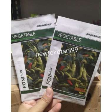 Benih cabe PONIRUN 10 gr cabai tahan virus kuning halbanero seed