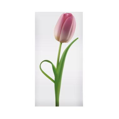 76 Gambar Bunga La Tulip HD - Gambar Pixabay