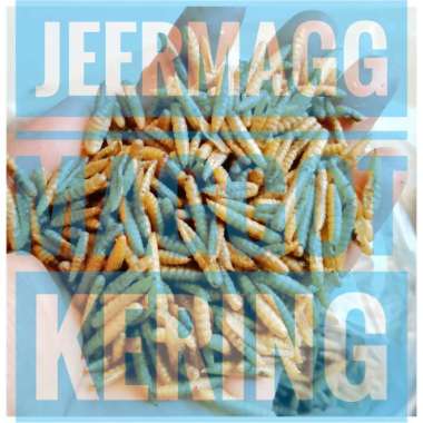 Maggot Kering 100% Dried BSF Larvae Curah kiloan Bulky 500 gram N