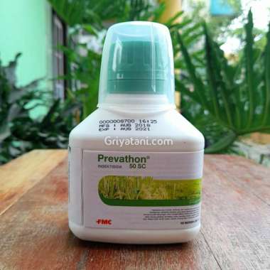 Insektisida Prevathon 50 SC 250 ml