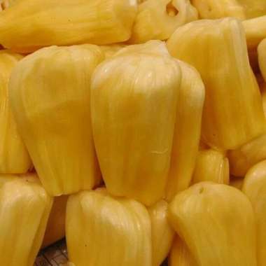 Jual Kupas September 2021 banyak pilihan â