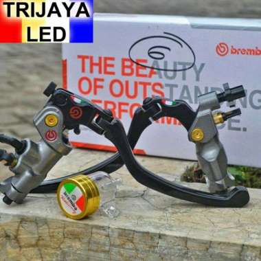 renthal r1 420 chain