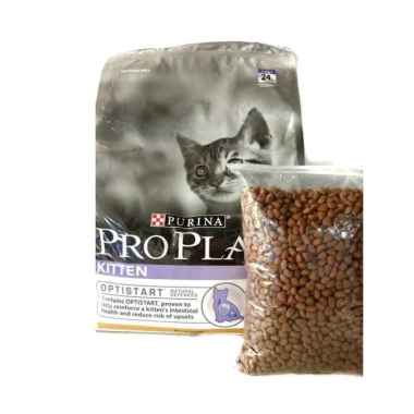 Jual Makanan Anak Kucing Terlengkap & Terbaik Harga Murah ...