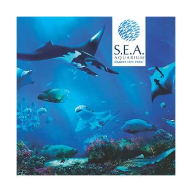 Tiket Jakarta Aquarium 2020 Murah - Harga Promo | Blibli