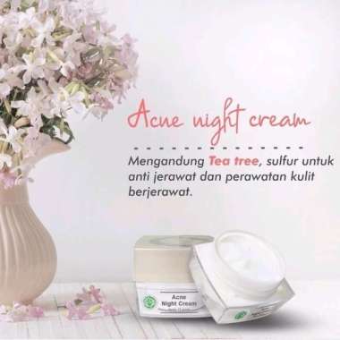 MS GLOW NIGHT CREAM Luminous Whitening Acne Ultimate Krim Malam Wajah Acne