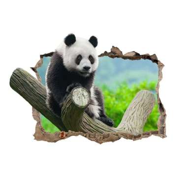 Jual Stiker Dinding Lucu Online Harga Termurah Desember Jual Stiker Dinding Lucu Online Harga Termurah Desember