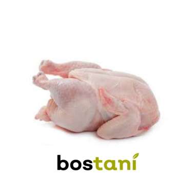 Referensi Harga Ayam Broiler Hari Ini / Informasi Harga ...