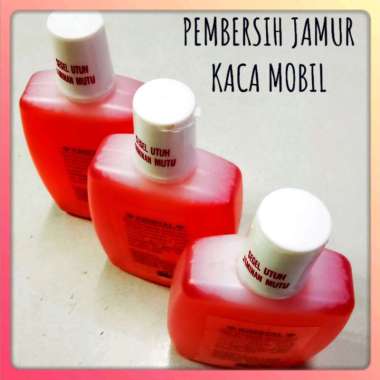 Pembersih Kaca/Obat Jamur Kaca Mobil