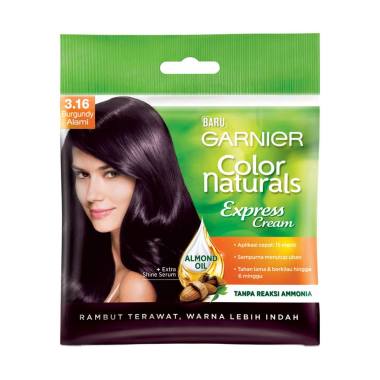 Jual Garnier Color Natural 4 Hair Color - Brown Online Mei
