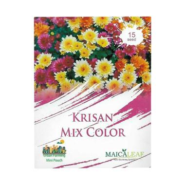 jual bibit bunga krisan harga menarik blibli jual bibit bunga krisan harga menarik blibli
