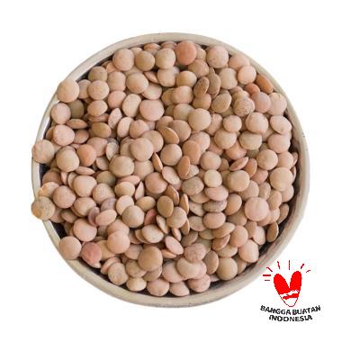Jual FitJoy Lentil Brown Natural Premium Quality Kacang [1
