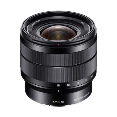 Jual Nikon AF-P DX NIKKOR 10-20mm f/4.5-5.6G VR Lensa