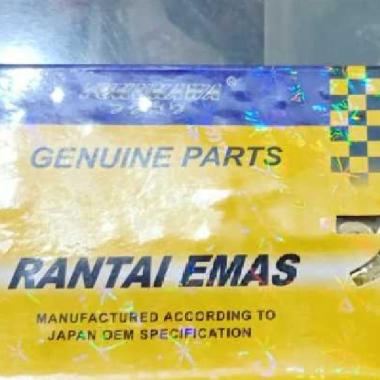Rantai GOLD 520 H -110 FUKUKAWA TIGER, NINJA 250, CBR 250, NINJA 150 RR, R 25