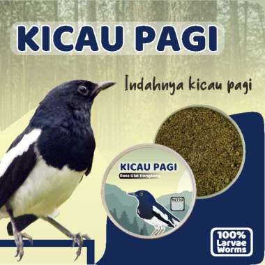 Pakan Makanan Burung Kicau Pagi Ulat Ulet Hongkong Kering Cucak Ijo Kacer Murai Batu Jalak IKANESIA 