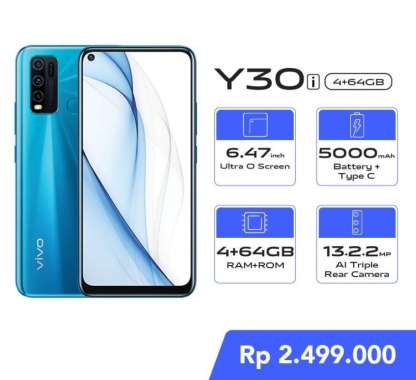 Vivo Y30i - Harga Terbaru April 2021 | Blibli