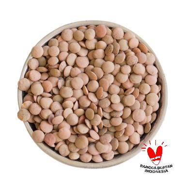 jual fitjoy lentil brown premium quality kacang 600g harga kualitas jual fitjoy lentil brown premium quality kacang 600g harga kualitas