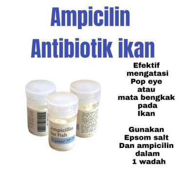 antibiotik ikan ampicilin 5 gram