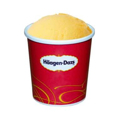 Jual Haagen Dazs Terbaru 2021 - Harga Promo | Blibli