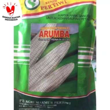 Benih / bibit Jagung putih pulut manis ARUMBA